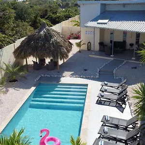 Palmera Willemstad